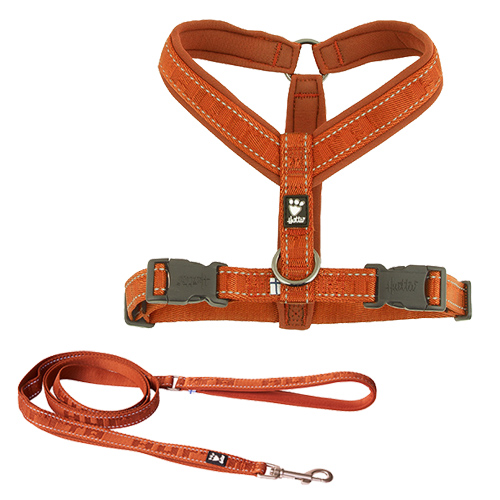 SET PETTORINA CASUAL Y CLASSIC CANNELLA 30-35 CON GUINZAGLIO