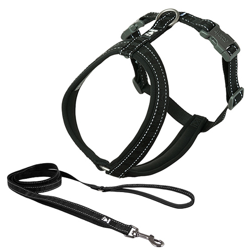 SET PETTORINA CASUAL Y CLASSIC NERO 30-35 CON GUINZAGLIO