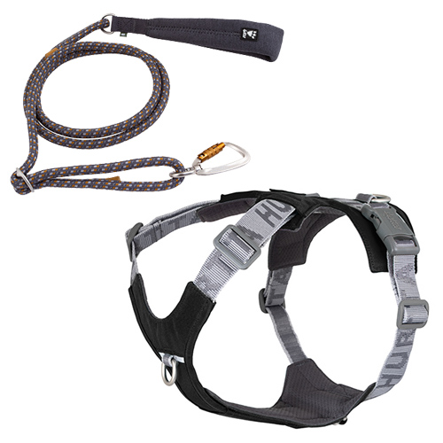SET PETTORINA ROVER RAVEN 45-60 CON GUINZAGLIO 8MM