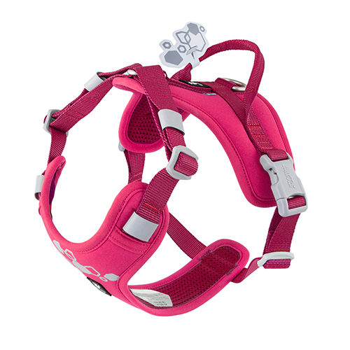 PETTORINA W.WARRIOR 2 ECO RUBY 40-50