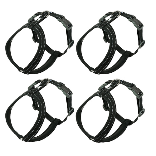 PETTORINE CASUAL CLASSIC Y NERO IN 4 TAGLIE