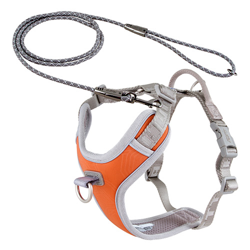 PETTORINA VENTURE NO PULL ARANCIO BRUCIATO 35-40 CON GUINZAGLIO CASUAL ROPE